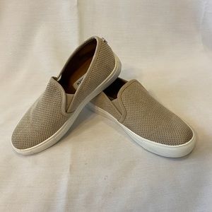 Steve Madden Sneakers